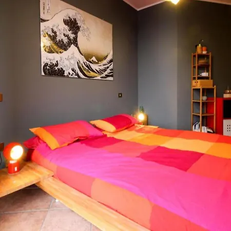 Casa Gecko